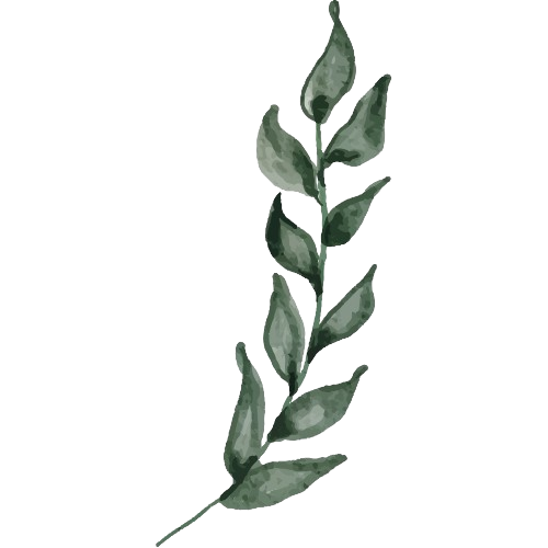 Les Bienfaits de la réflexologie :