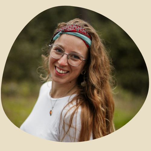 Mon parcours et mes valeurs :