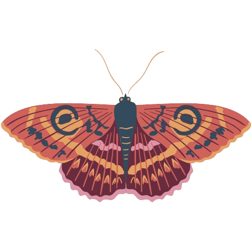 Comment se déroule une séance ?