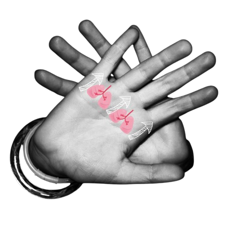 2. La zone des poumons : Pour mieux respirer