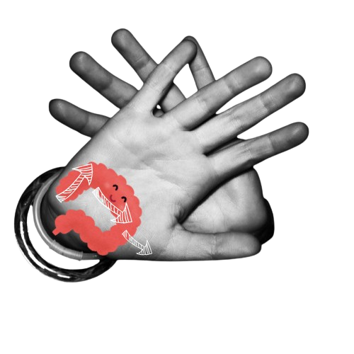 3. La zone du côlon : Pour soutenir la digestion