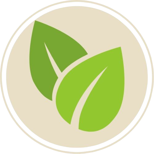 Kapha : l’énergie de la stabilité